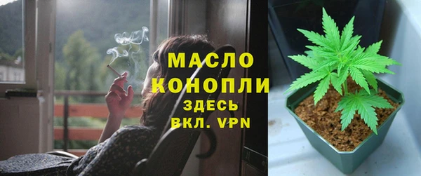 дмт Надым