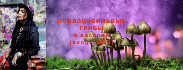 дмт Надым